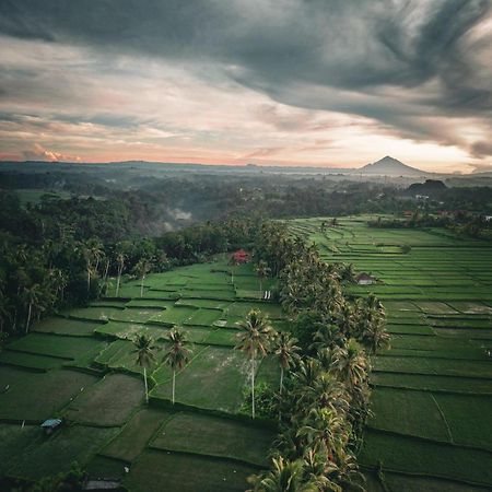 Ayu Duwur Beji Otel Ubud Dış mekan fotoğraf