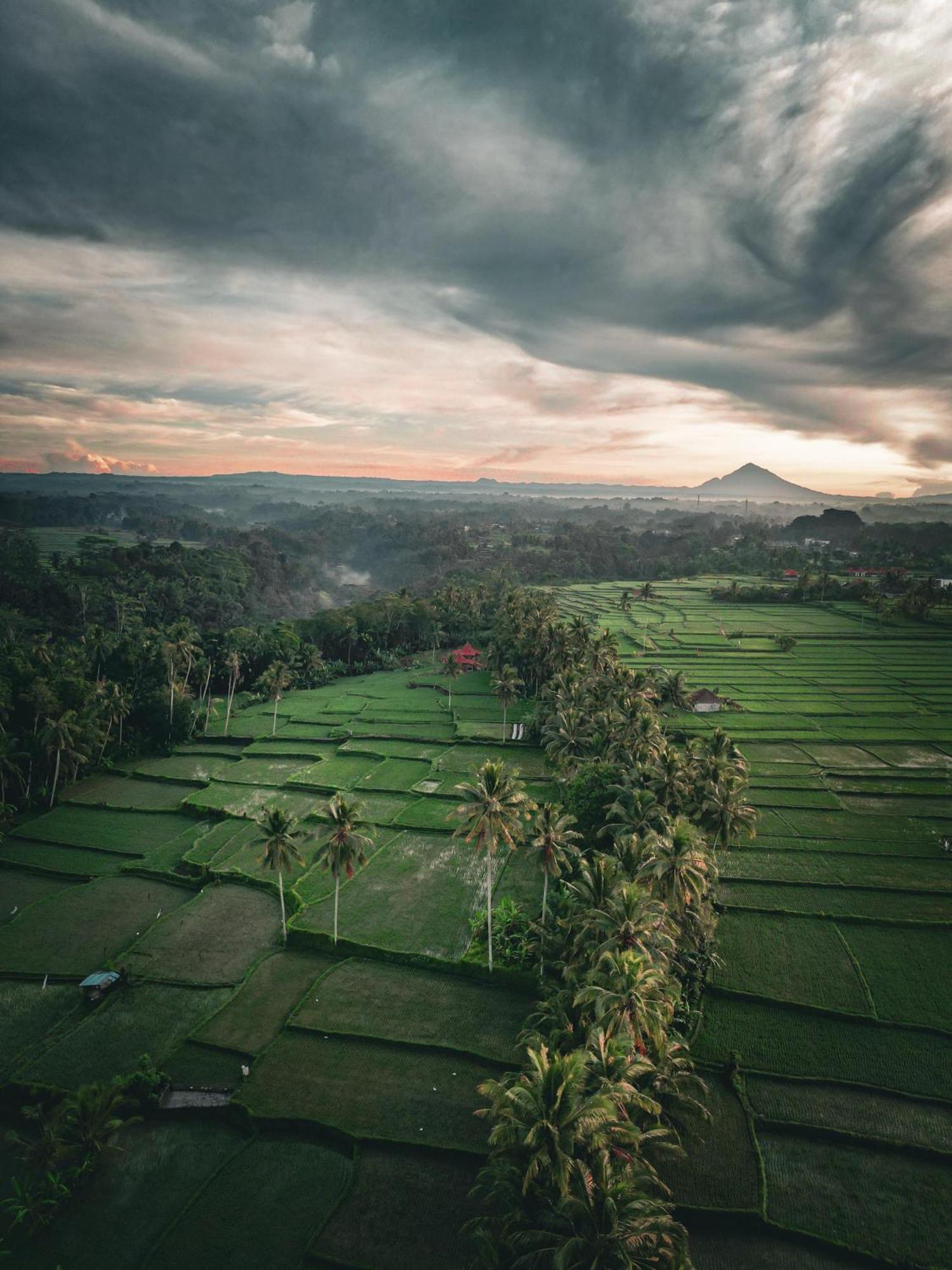 Ayu Duwur Beji Otel Ubud Dış mekan fotoğraf